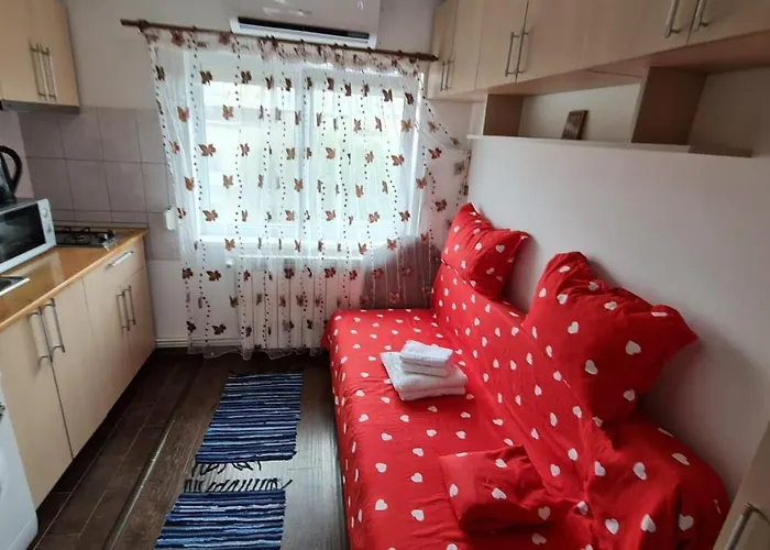 Garsoniera Plaja Modern Centru アパート コンスタンツァ