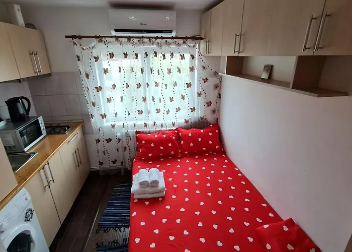 Garsoniera Plaja Modern Centru アパート コンスタンツァ