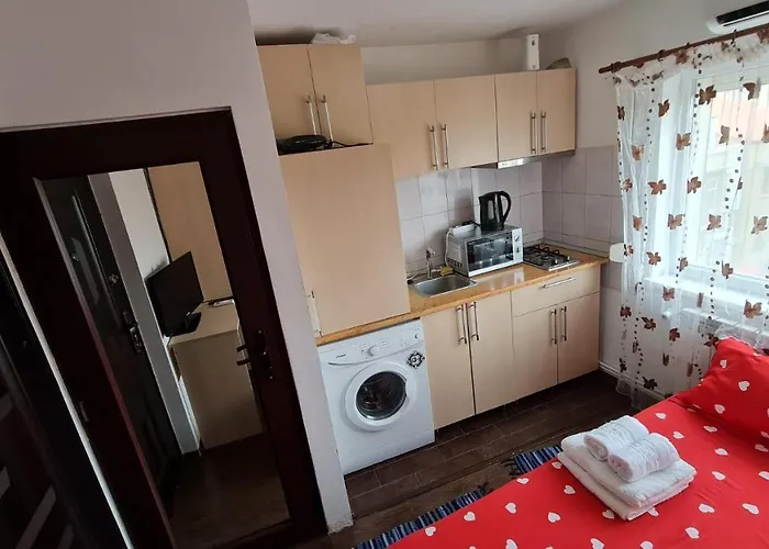 Garsoniera Plaja Modern Centru アパート