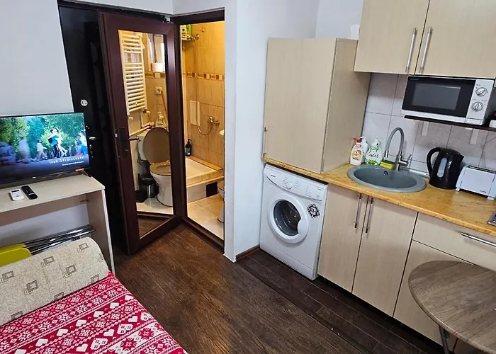 Garsoniera Plaja Modern Centru アパート